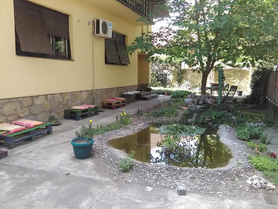 Smestaj U Okviru Domacinstva Sobe Sosa Palic Exterior photo